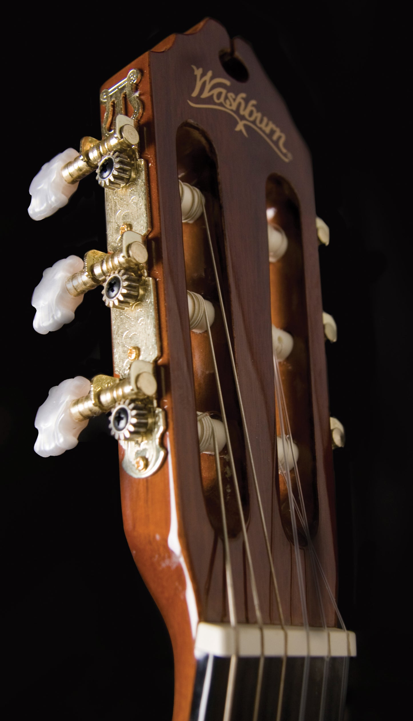 Washburn C5 Classical