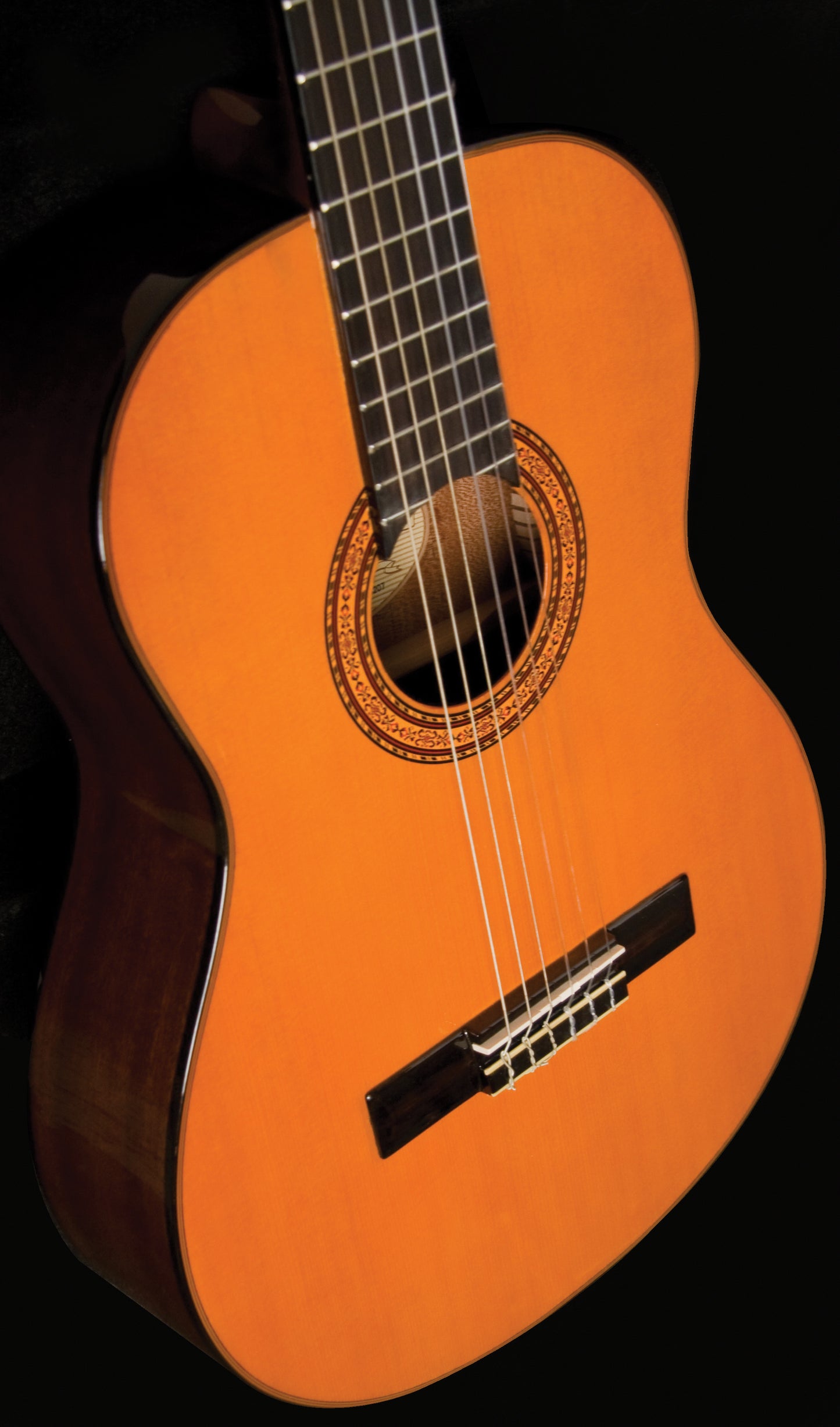 Washburn C5 Classical