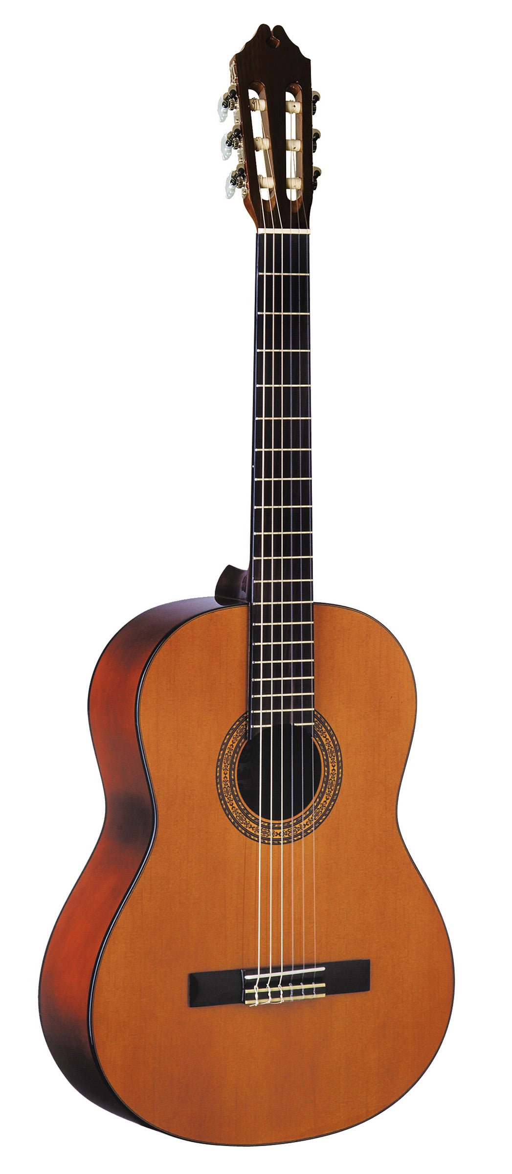 Washburn C5 Classical