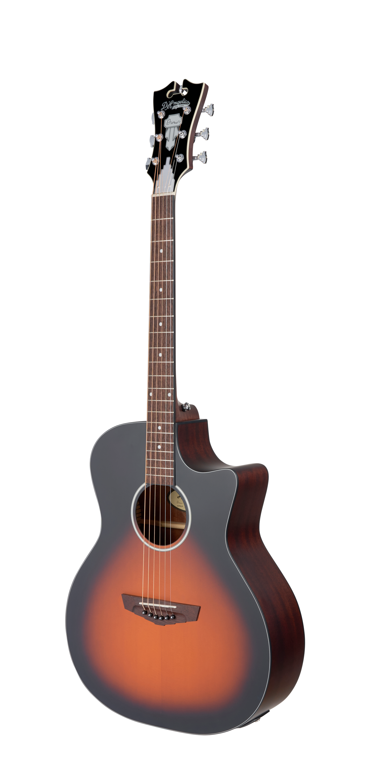 D’Angelico Premier Gramercy LS