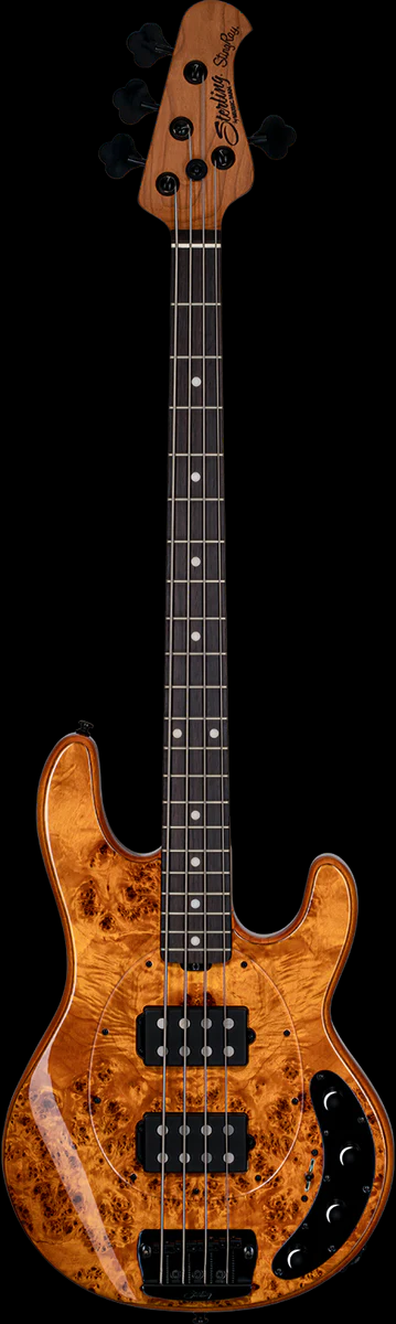 Sterling StingRay Ray34 HH Poplar Top