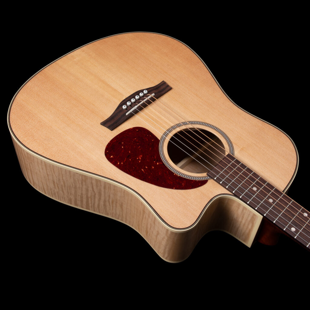 Seagll Performer CW HG Presys II