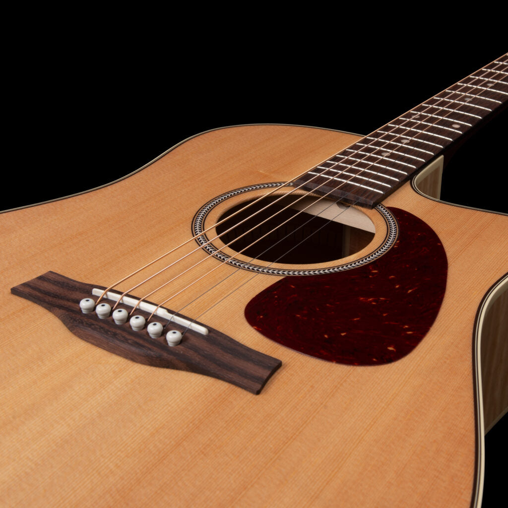 Seagll Performer CW HG Presys II