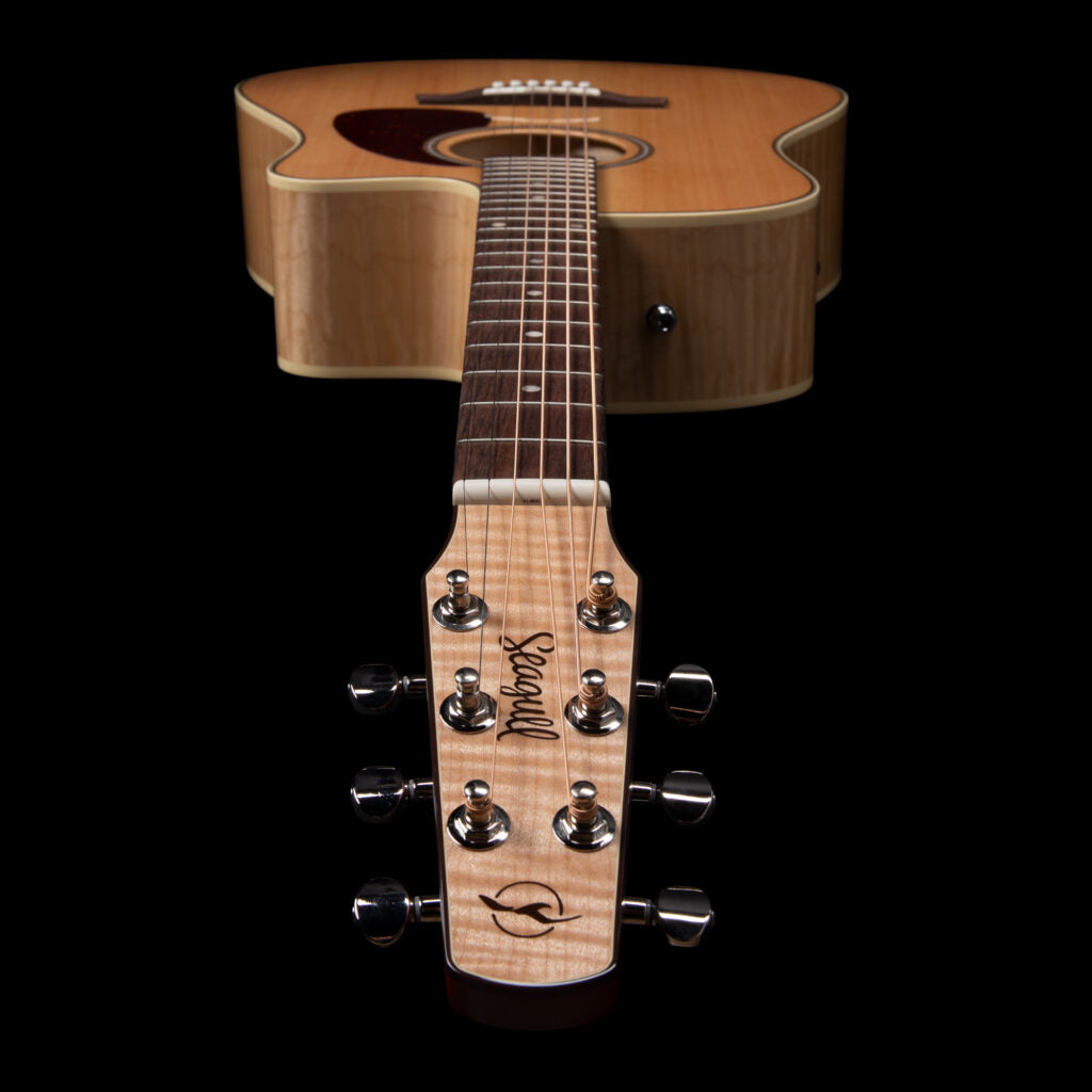 Seagll Performer CW HG Presys II