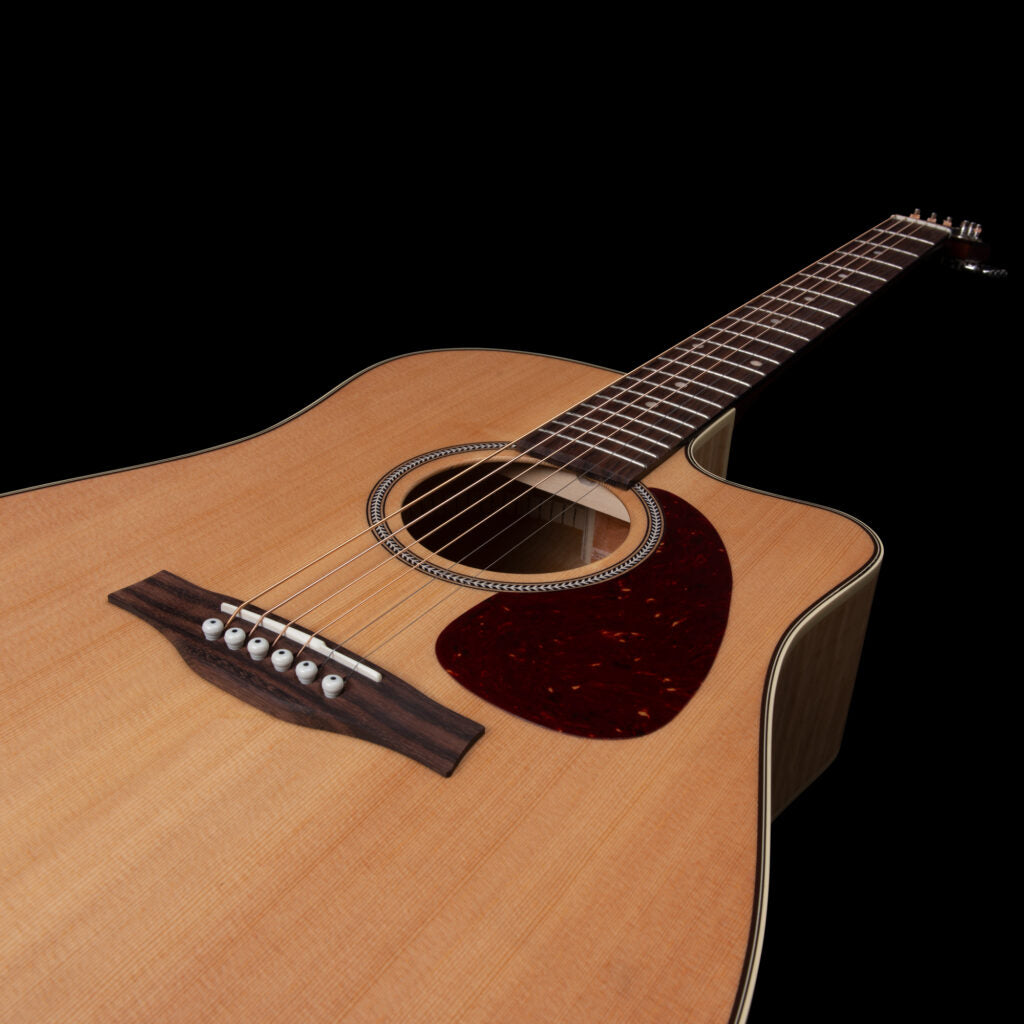 Seagll Performer CW HG Presys II