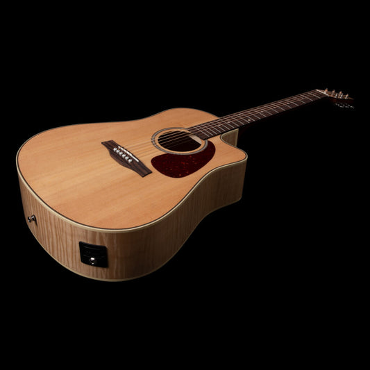 Seagll Performer CW HG Presys II